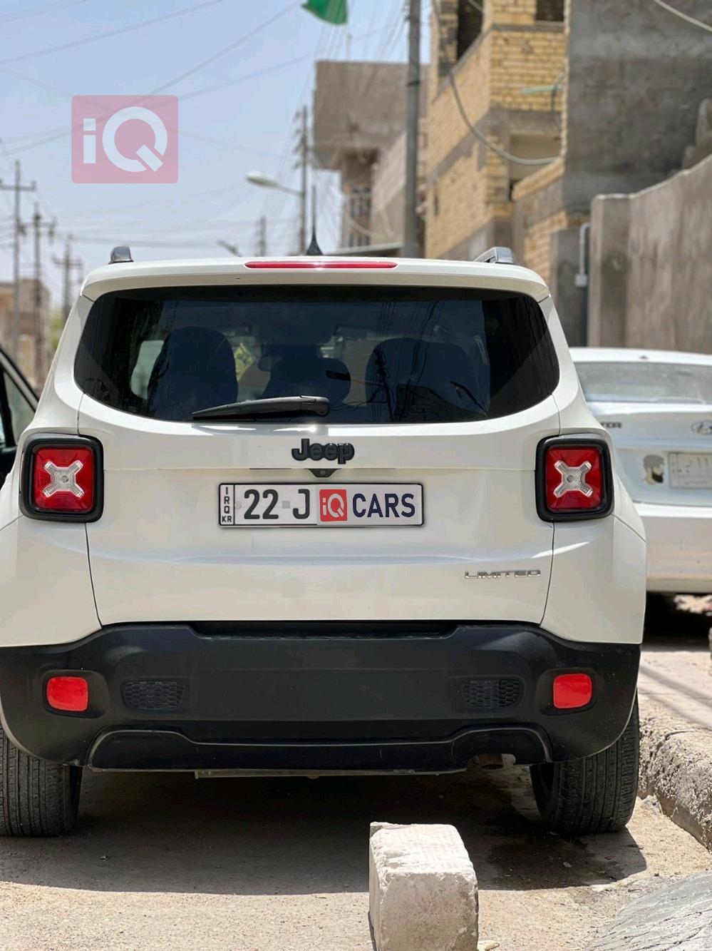 جيب رينيجيد